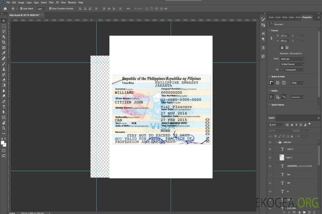 Visa de voyage pour PHILIPPINES template